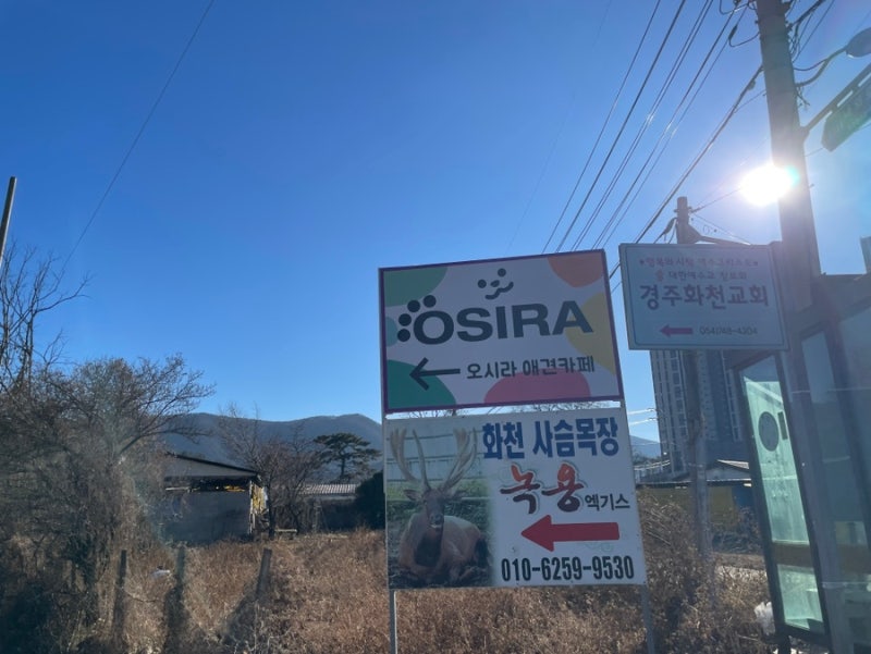 사진 4