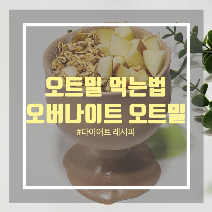 오버나이트 오트밀 만들기 귀리 오트밀 맛있게 먹는법 오버나이트 오트밀 만들기 귀리 오트밀 맛있게 먹는법