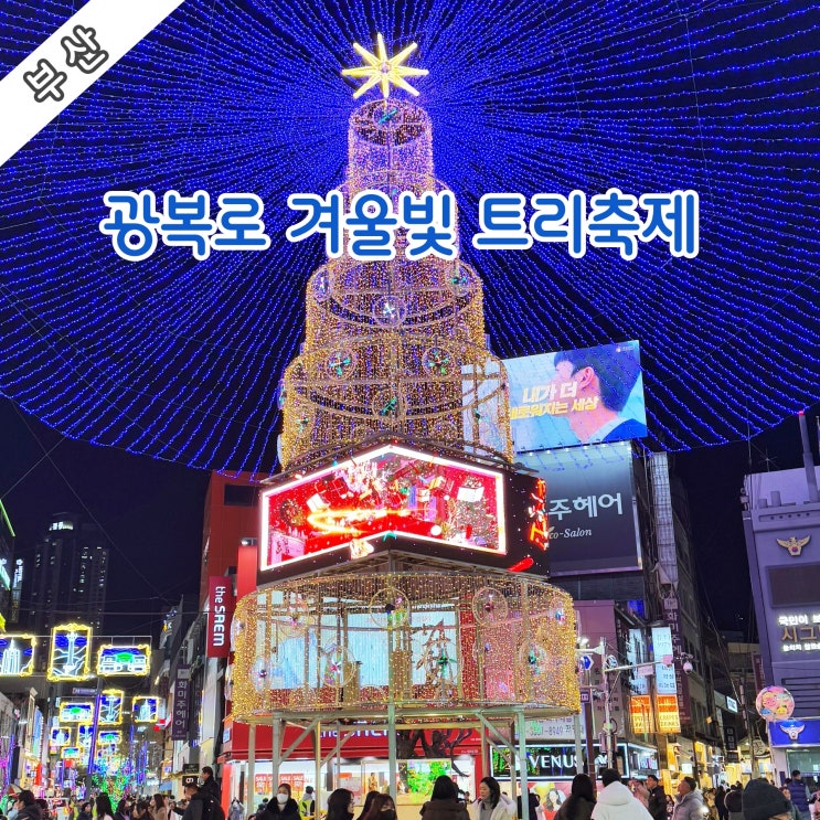  [부산] 크리스마스트리의 향연 '광복로 겨울빛 트리축제' ('24. 11. 15. ~ '25. 02. 02.)