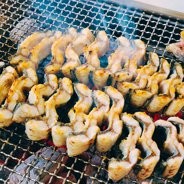  장어애 파주 장어 맛집 가볼만한 곳 국내산 풍천민물장어 숯불구이