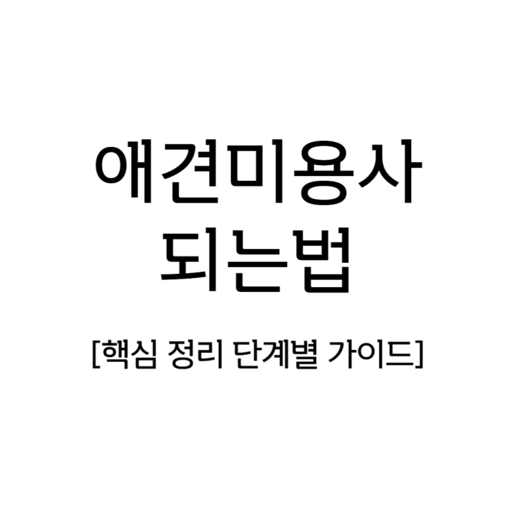  애견미용사 되는법 핵심 정리 단계별 가이드