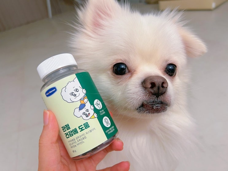  [ 펫또마망 ] 강아지 관절 영양제 추천 소형견 슬개골탈구 수술 후 관리 아탈구 관리 영양제