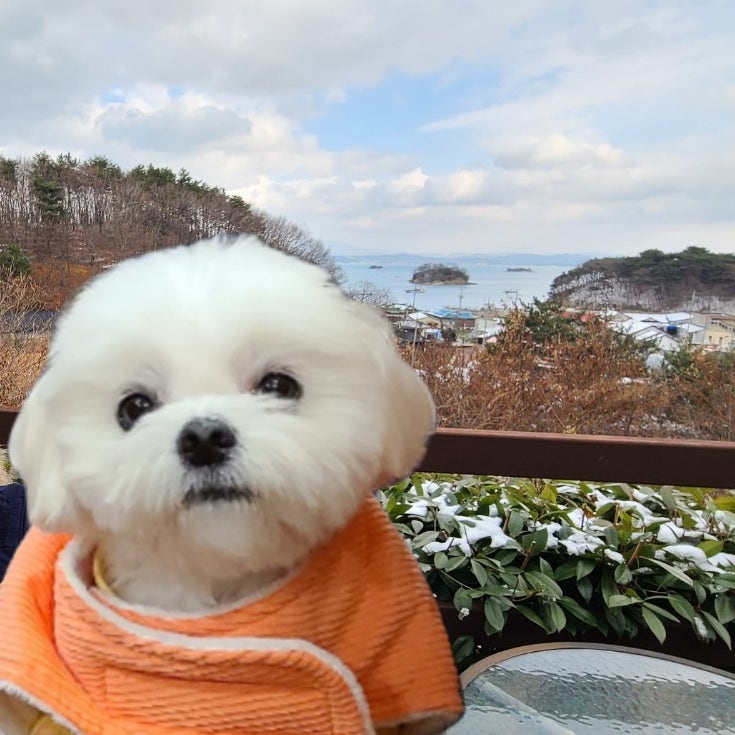 사진 5