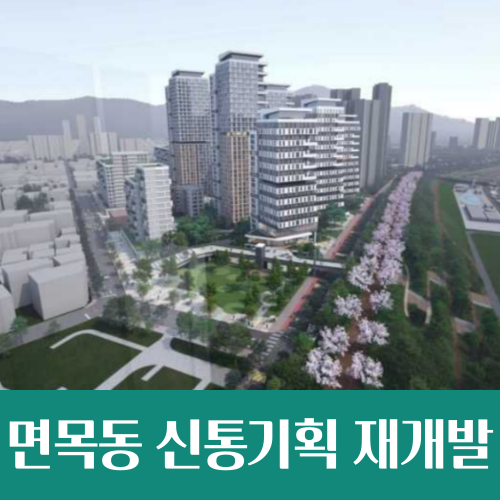  면목동 172-1 신통기획 재개발 확정