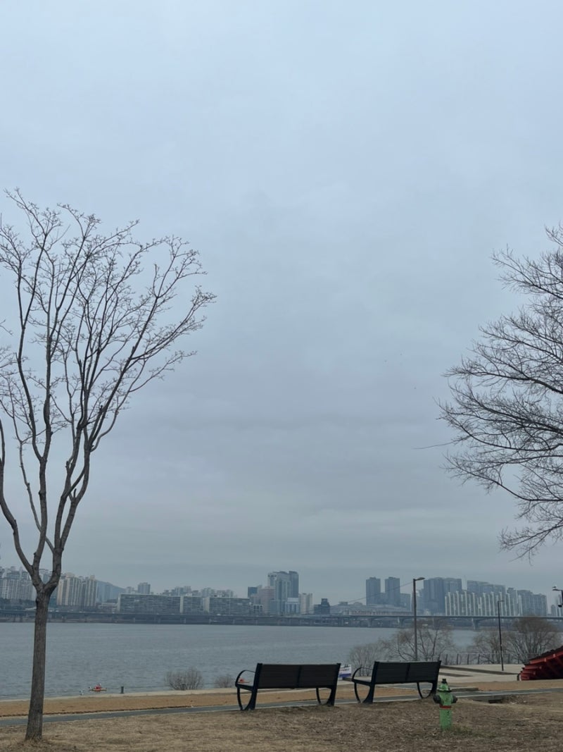 2024. 청춘이라는 이름으로 : 네이버 블로그, image size:800x1067