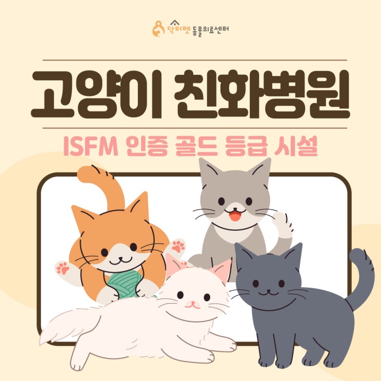  고양이는 왜 고양이만의 진료공간이 필요할까? 고양이 친화병원 골드 닥터펫동물의료센터 ISFM 인증 (2024년 12월 확장이전 부산 동물병원)