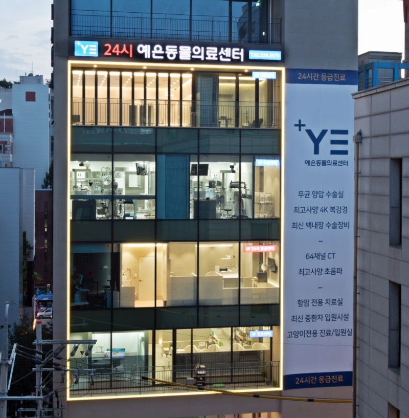 야간 응급상황도 예은동물병원, 강남 24시 동물병원 강아지 응급실 예은동물의료센터