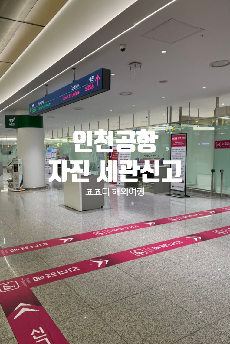 인천공항 세관신고 세관 자진신고 후기 자세관자진신고 감면
