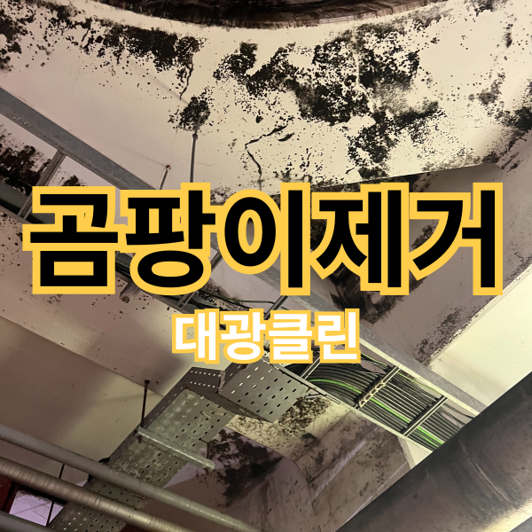 익산공장청소 천장 및 서스 탱크 곰팡이&녹 제거하기!