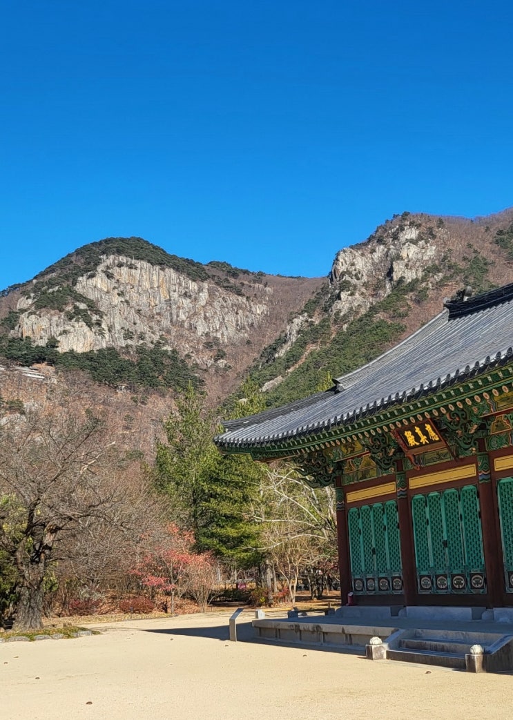  2025년 새해 복많이 받으세요-청도 운문사에서