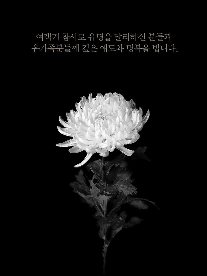 제주항공 희생자분들의 명복과 유가족분들에게 진심 어린 위로를 전합니다 제주항공 희생자분들의 명복과 유가족분들에게 진심 어린 위로를 전합니다