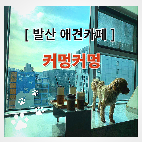 사진 7
