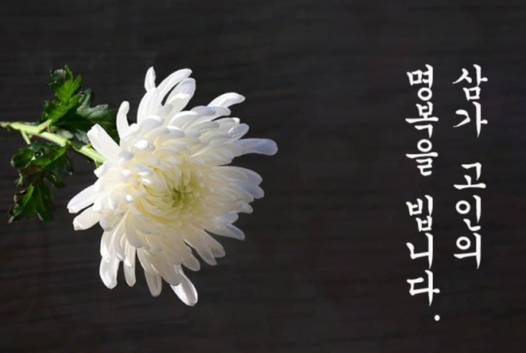  제주항공 여객기 사고 삼가 고인의 명복을 빕니다