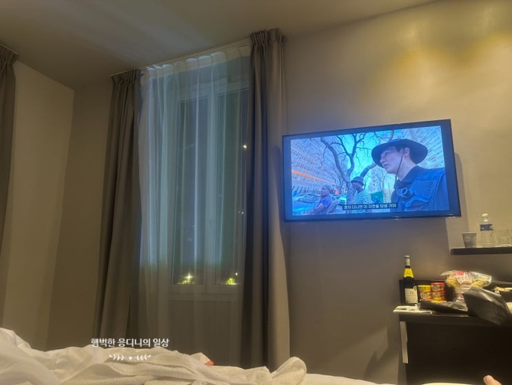  니스 2일차, 모나코와 에즈빌리지 선인장마을 당일치기여행, 니스모나코 교통카드