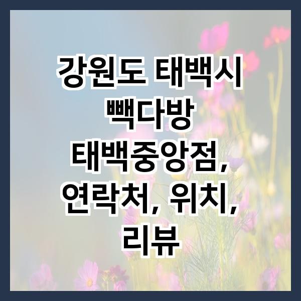 빽다방 태백중앙점 사진 1