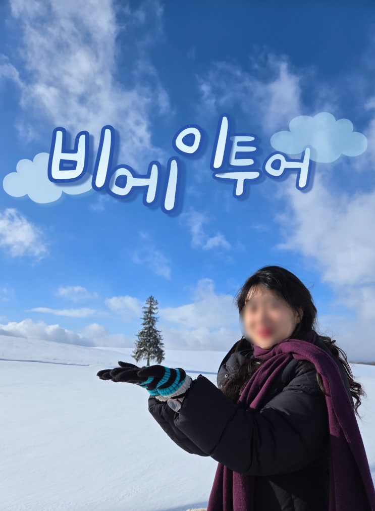  일본 홋카이도 여행 비에이투어 당일치기 예약 추천 준페이 후기