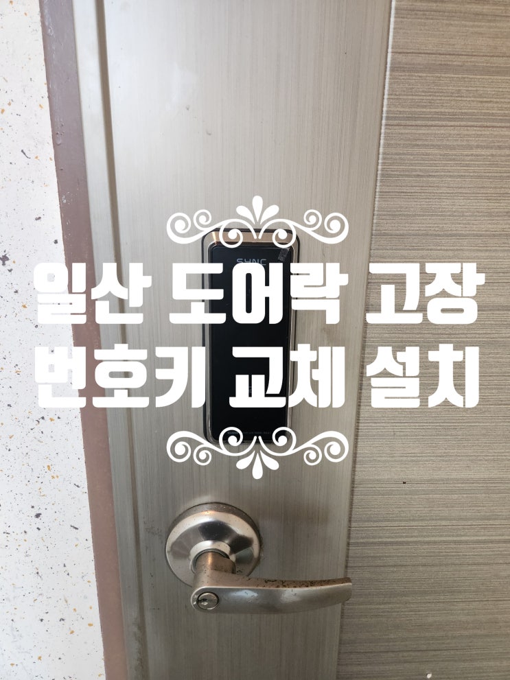  일산 정발산동열쇠 현관문 도어락 고장 번호키 교체 설치 출장 수리