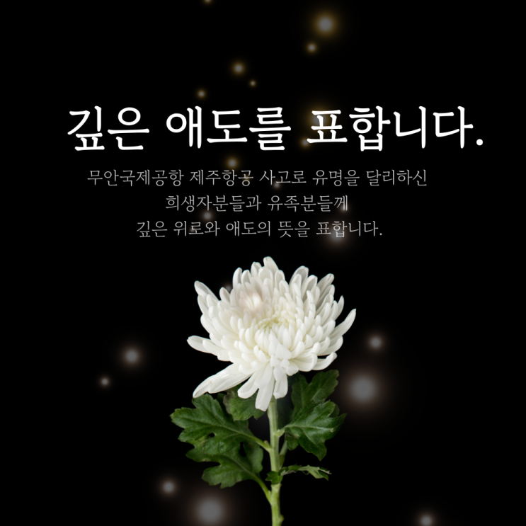 무안국제공항 제주항공 사고 희생자분들께 깊은 애도를 표합니다.