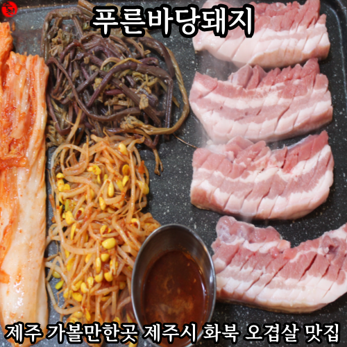 제주 가볼만한곳 동쪽 화북 오겹살 맛집 푸른바당돼지