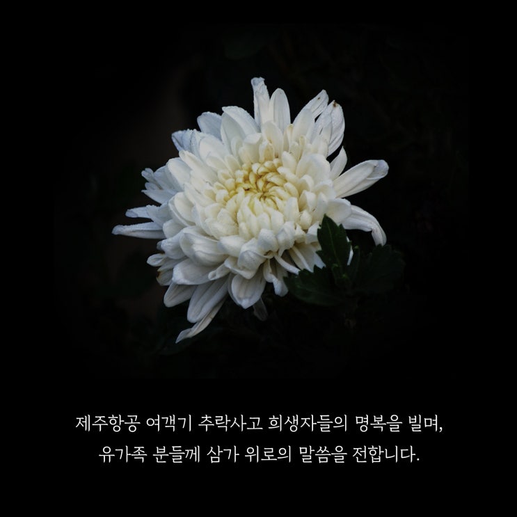 추모             -호기심건축사