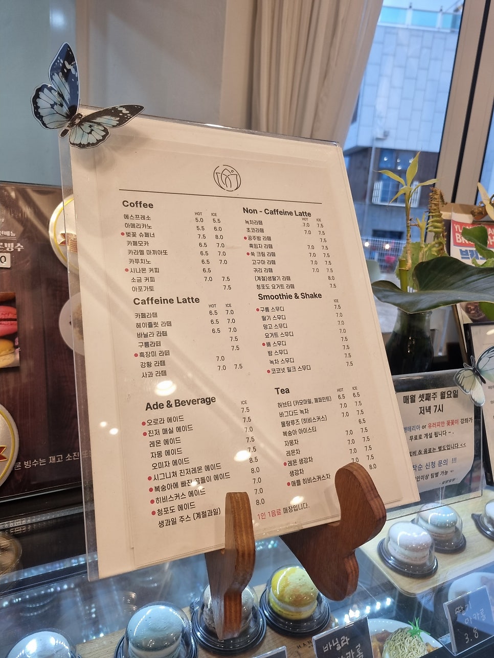 일랑일랑 사진 5