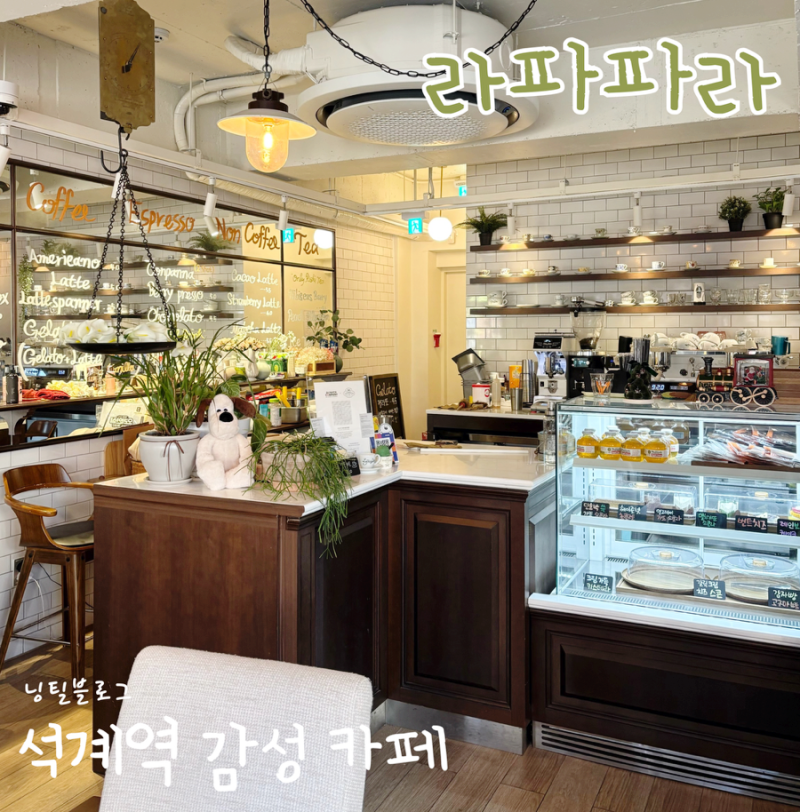 사진 5