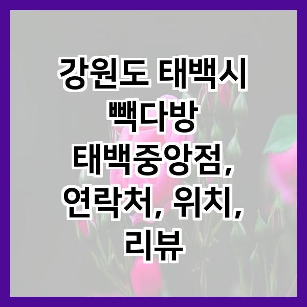 빽다방 태백중앙점 사진 2