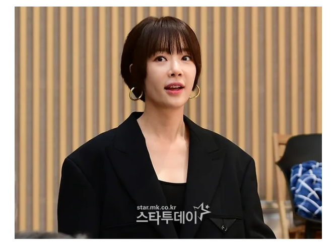 <b>황정음</b>, 고강도 <b>세무 조사</b>→거액의 세금 추징…"고의적 탈세... 
