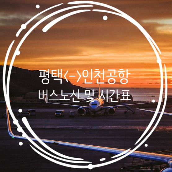  평택에서 인천공항 버스 시간표 + 지제역, 장당동 인천공항 버스 타는 곳 (1월 1일 신규 경유지)