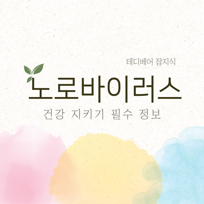  노로바이러스, 무엇을 알아야 할까? 건강 지키기 필수 정보
