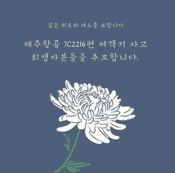 제주항공 <b>여객기</b> 사고 <b>희생자</b> 합동분향소 위치... 
