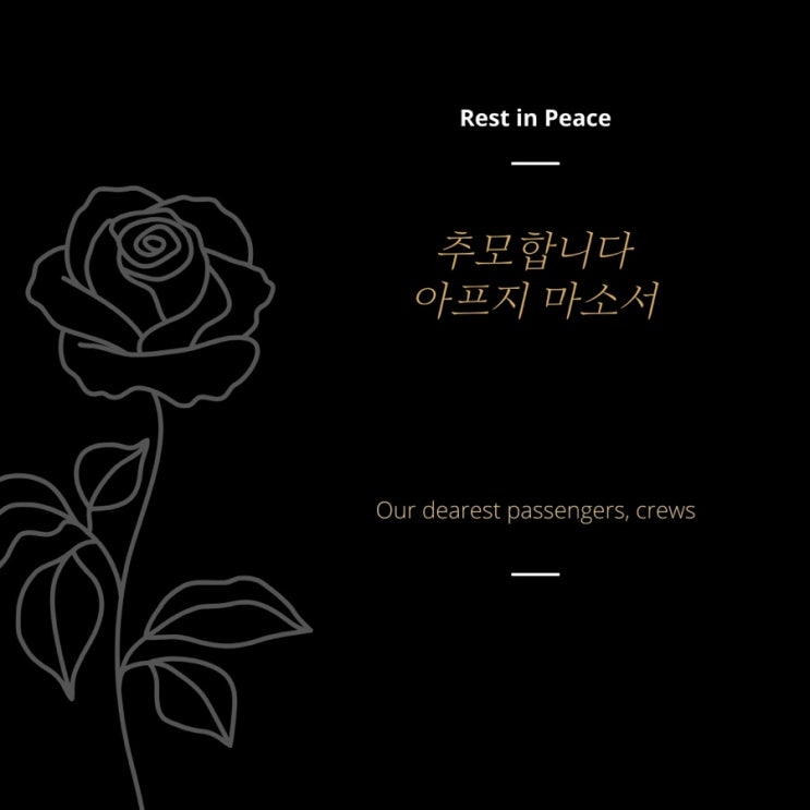  제주항공 사고에 가슴 깊이 애도를 표합니다.