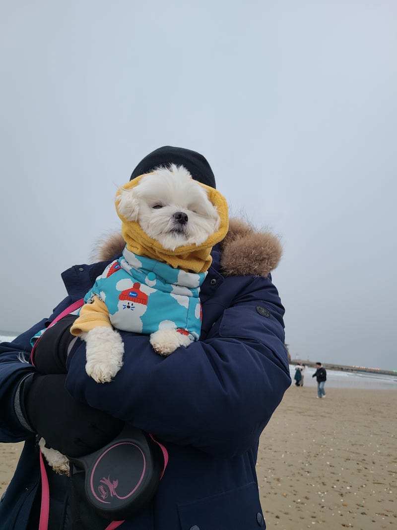 사진 6