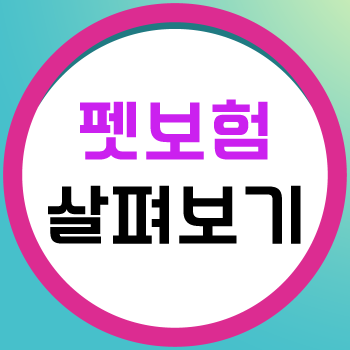  펫보험 보장 &특약 확인 후 펫보험료 가격까지 알아보세요
