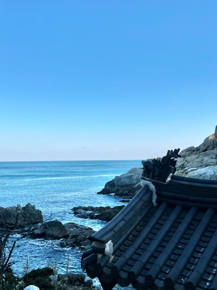  [신년맞이] 바다뷰 “해동용궁사” 부산 기장 가볼만한 곳 / 해돋이 명소