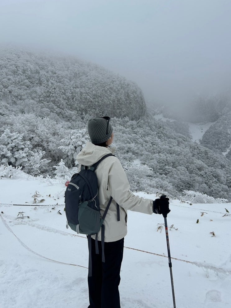  겨울 제주도 3박 4일 여행, 한라산 등산 초보 준비물 리스트