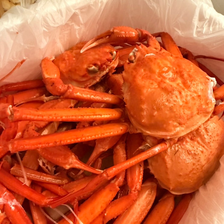  야식으로 먹은 크랩크랩 홍게찜 딱새우