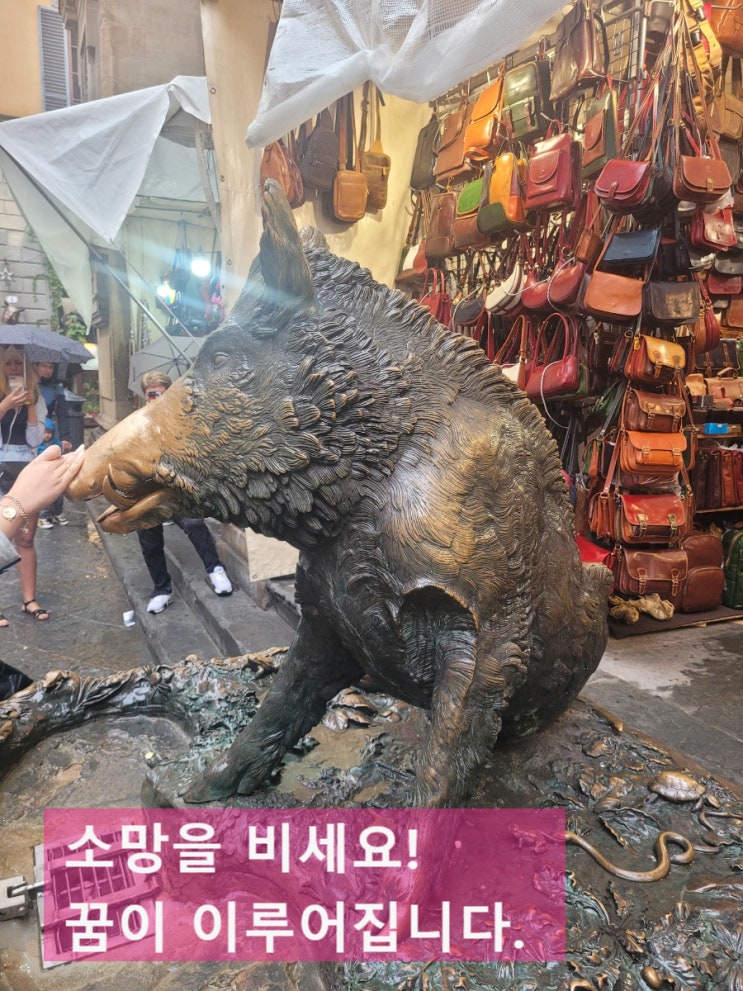 연재 르네상스 고향 피렌체 거리 여행,  우비치 미술관  카페 베키오궁전 돼지 조각상 소망빌기 돼지꿈 이루세요