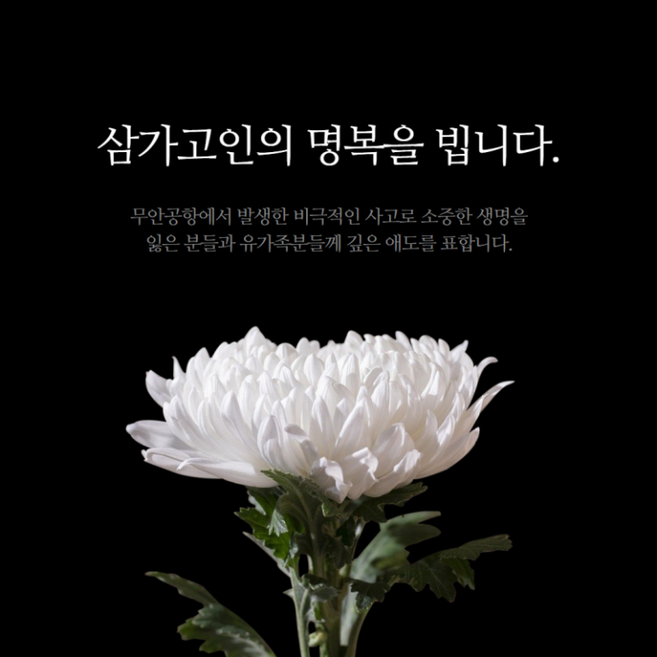  최근 발생한 무안공항 경비행기 추락사고 삼가 고인의 명복을 빕니다.