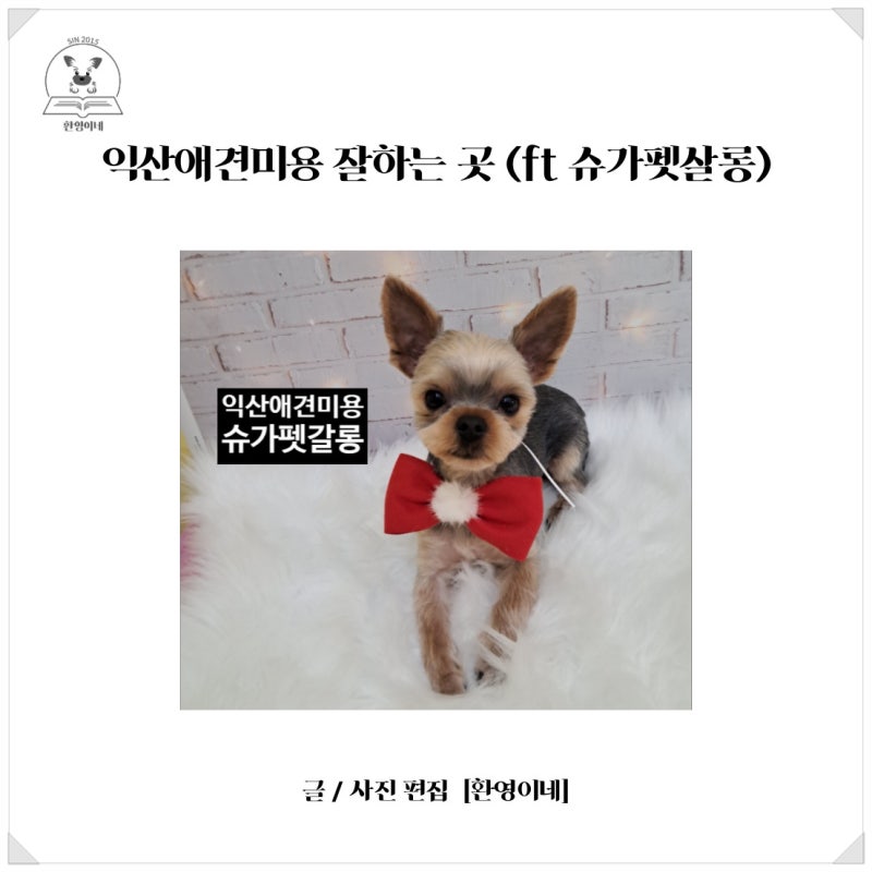 사진 9
