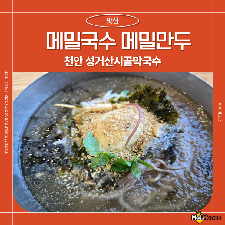  천안 성거 점심메뉴 메밀맛집 성거산시골막국수