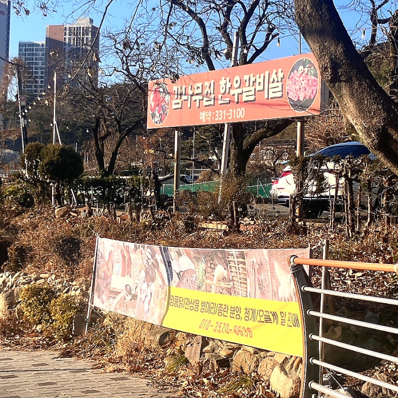 사진 3