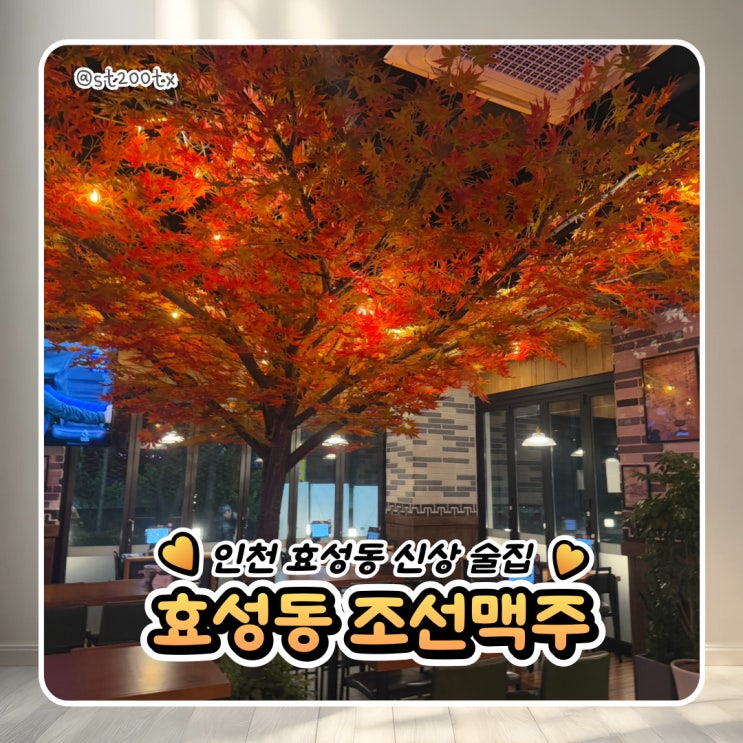  내가조선의치킨이고맥주다 효성동 신규 술집 조선맥주