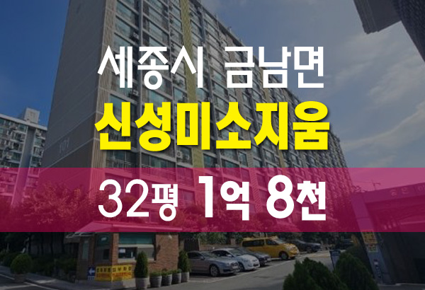  세종 금남면 신성연기미소지움 32평 아파트 법원 경매