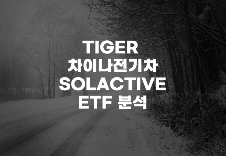  TIGER 차이나전기차SOLACTIVE[371460] ETF 분석 주가 주식 중국 EV 전기차 보조금