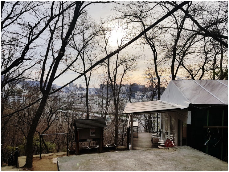 서울 새해일출 강남해돋이 명소, 도곡공원 매봉산
