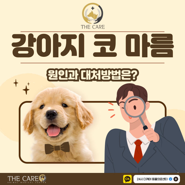  강아지 코 건조 원인과 대처방법은?