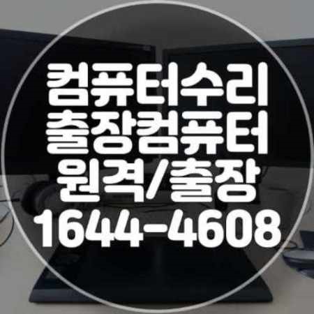  성남시 분당구 컴퓨터 수리와 프로그램 설치 서비스