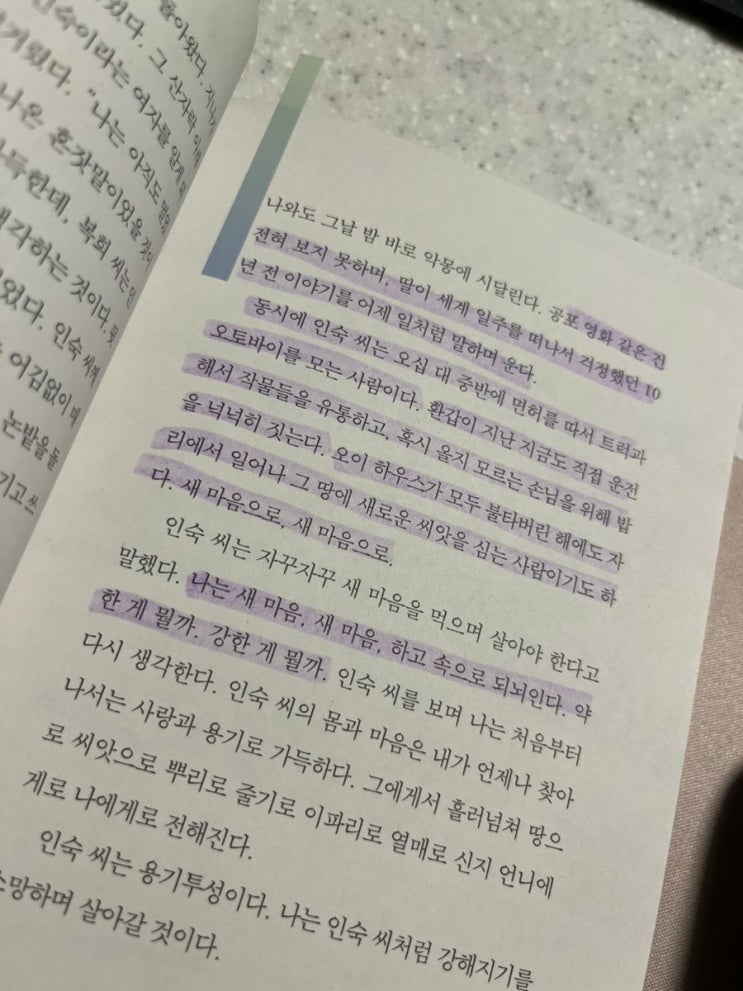  2024년 한 해 후기