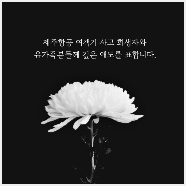 깊은 애도를 표합니다. 깊은 애도를 표합니다.